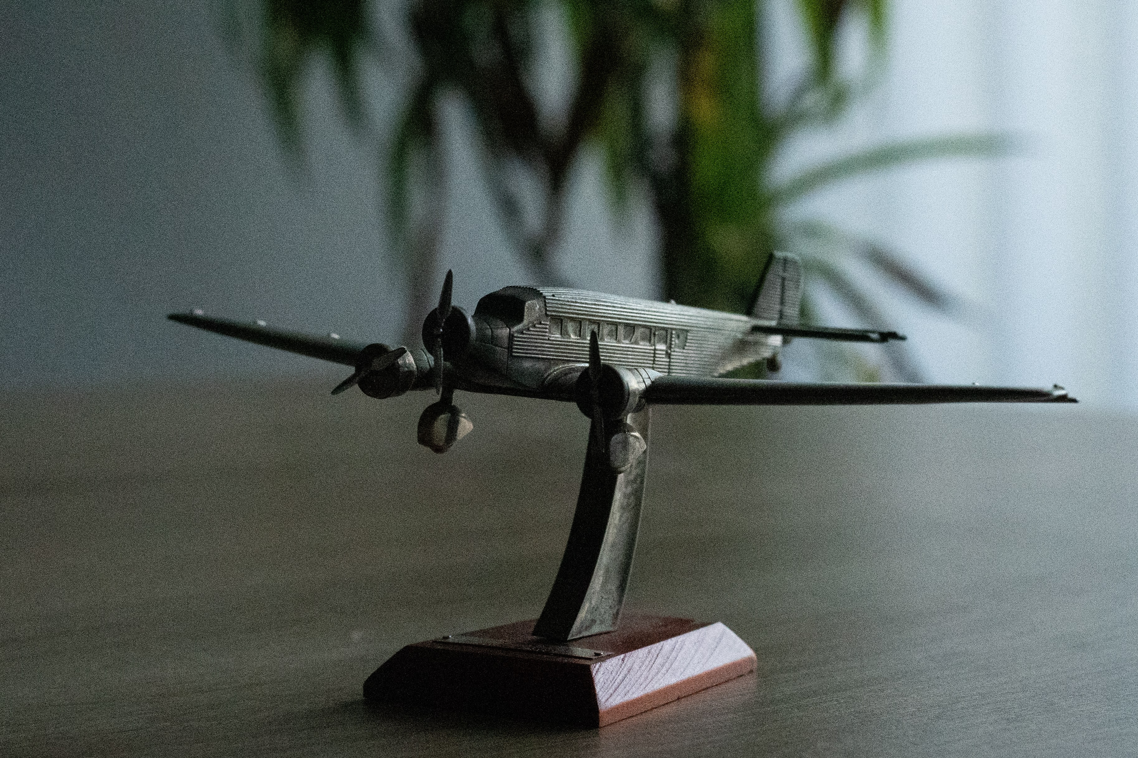 35mm ・ f/7.1 ・ 1/2000 Sek. ・ ISO 16000